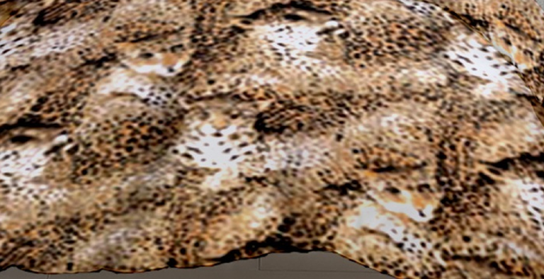 Tkanina na metry, Materiał do szycia, 100% BAWEŁNA, 160cm, Panterka (1)